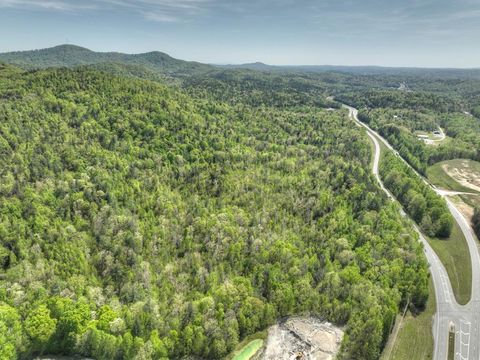 138.06AC N Hwy 515 Ellijay GA 30540