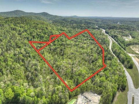 138.06AC N Hwy 515 Ellijay GA 30540