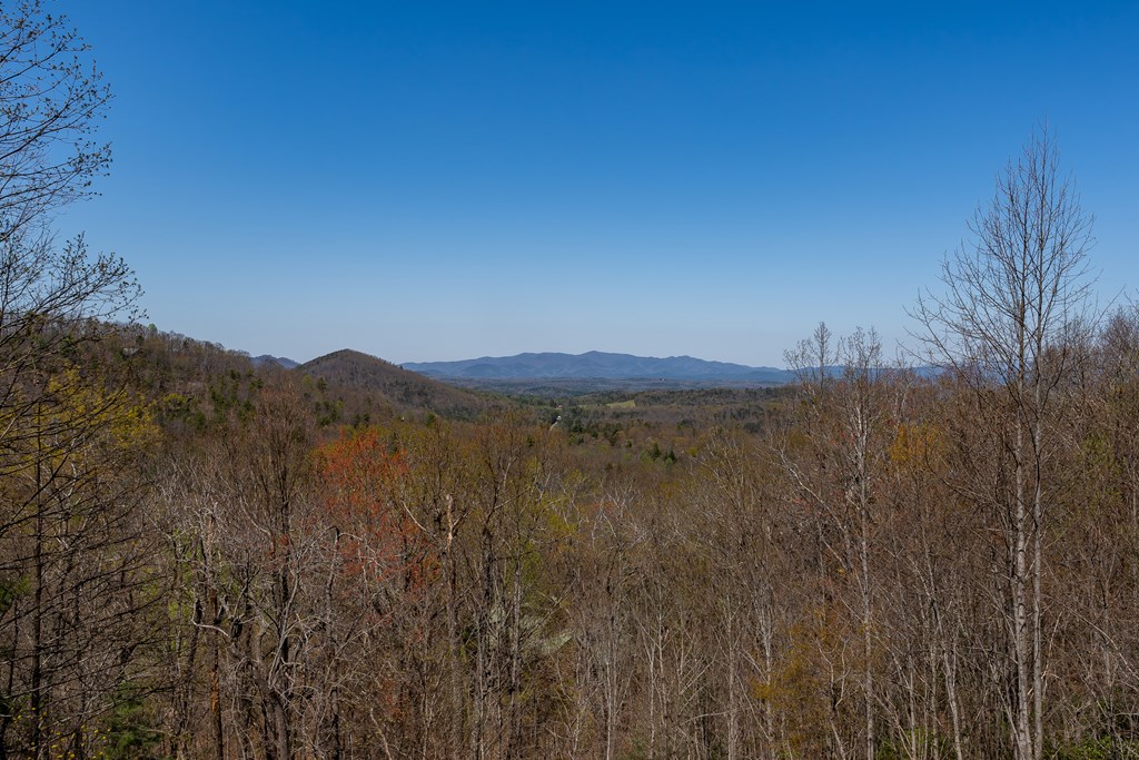 1571 Mangums Trail