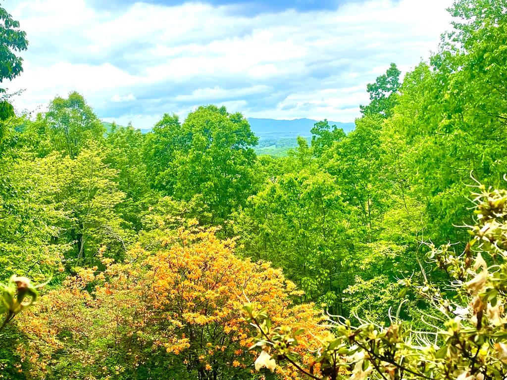 1571 Mangums Trail