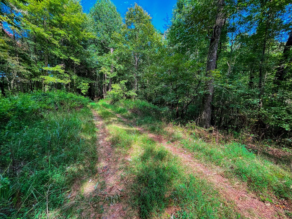 241 AC Legion Road