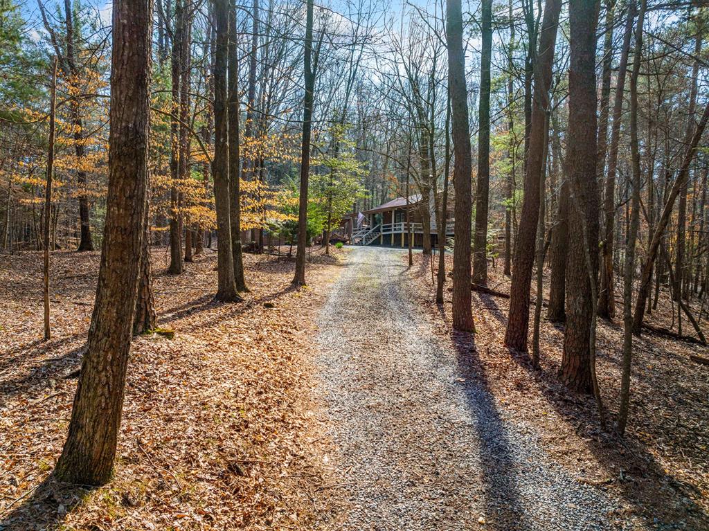 335 Misty Hollow Road