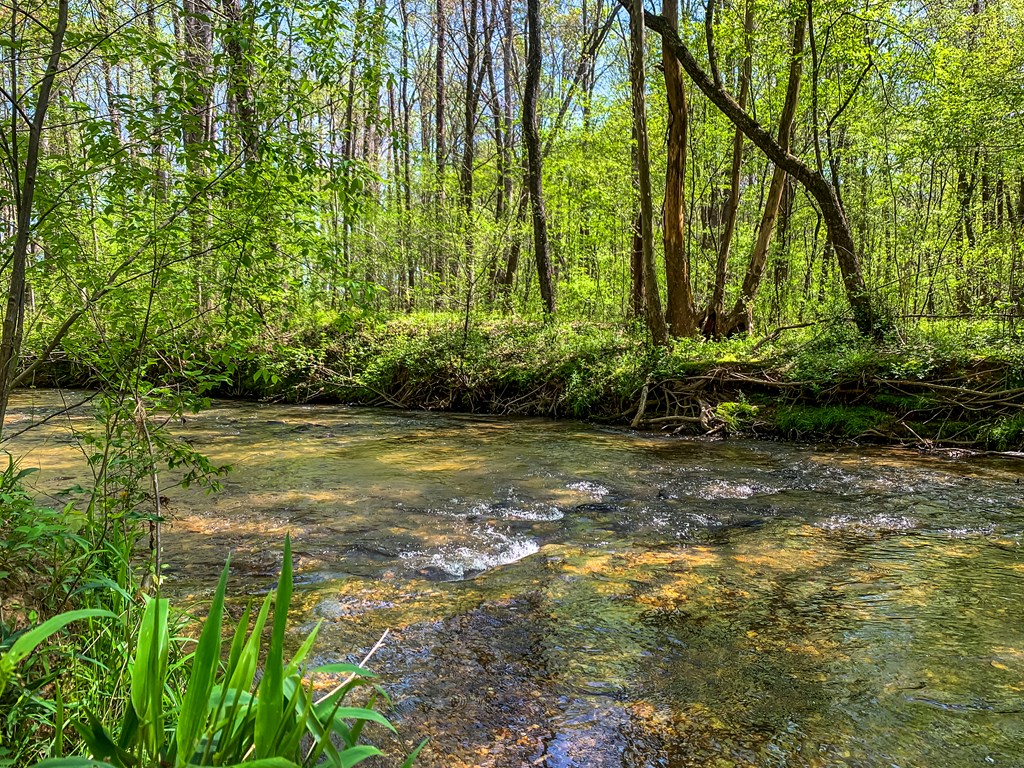 428 Licklog Road