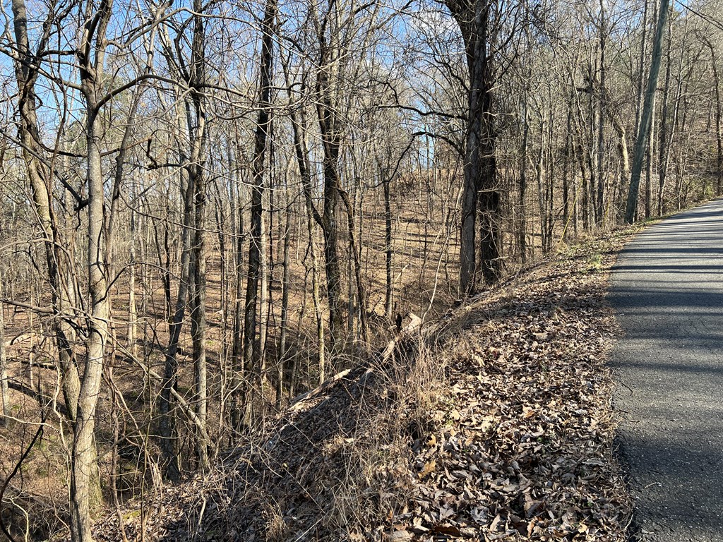 Lot 326 Adair Drive