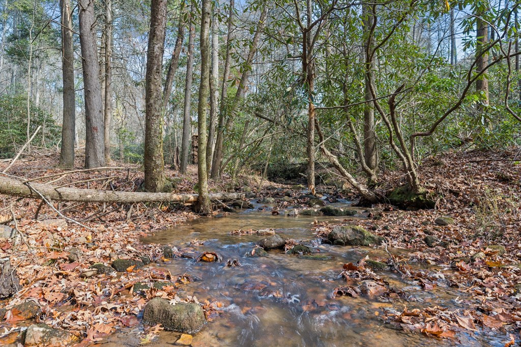 491 Old Parker Terrace