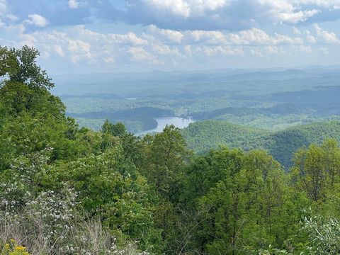 0 Burrell Mountain Road Murphy NC 28906