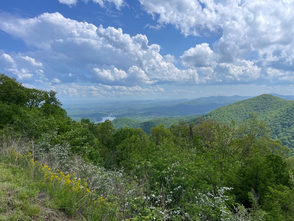 0 Burrell Mountain Road