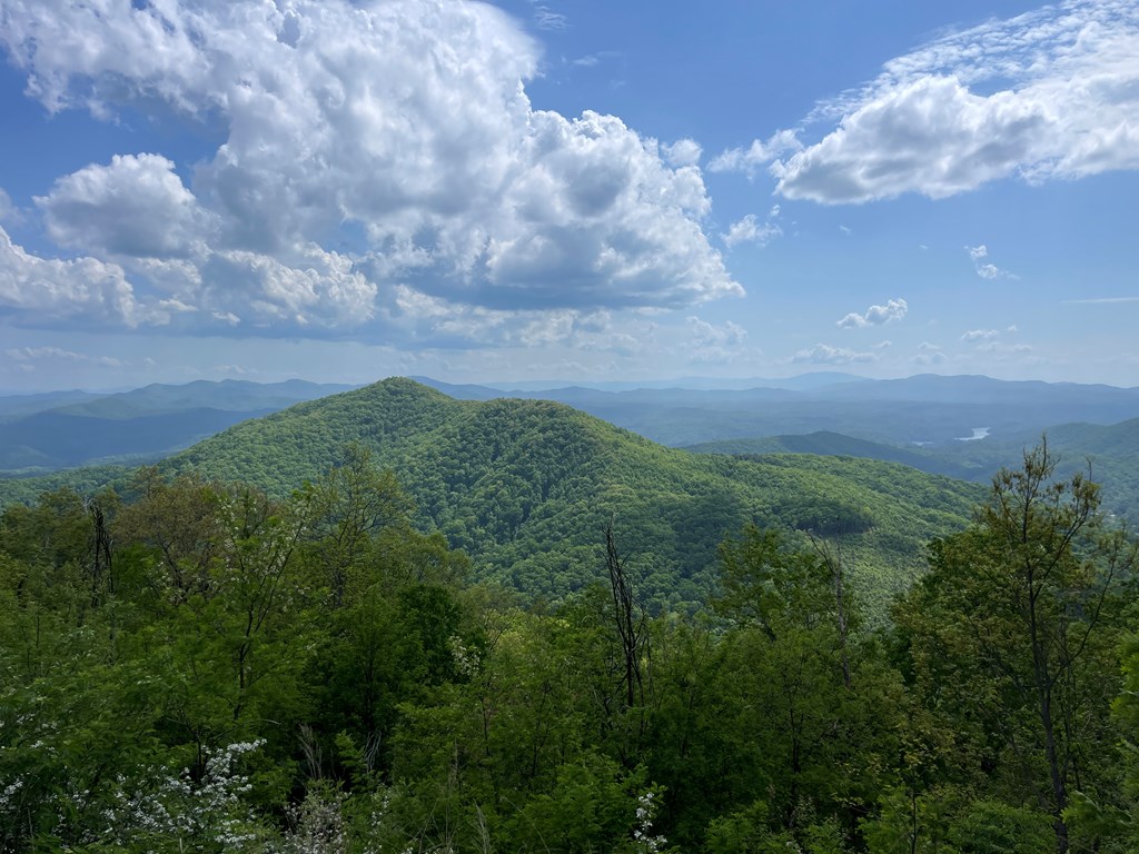 0 Burrell Mountain Road