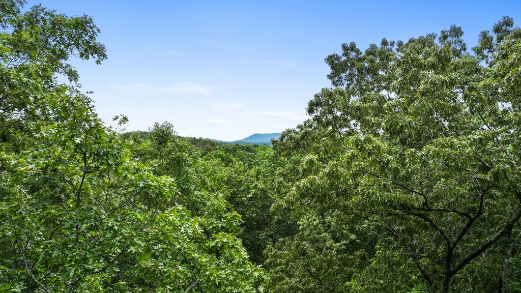 23 Chestnut Hills Lane