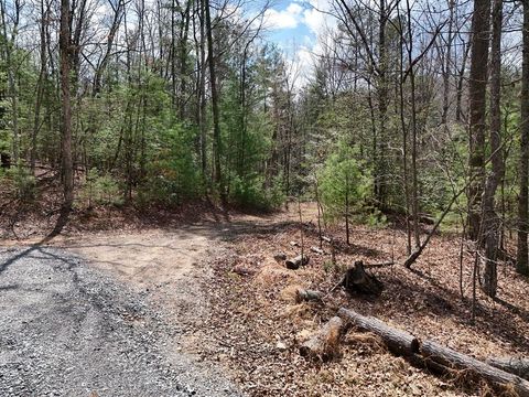 Lot 117 Laurel Trace Blue Ridge GA 30513