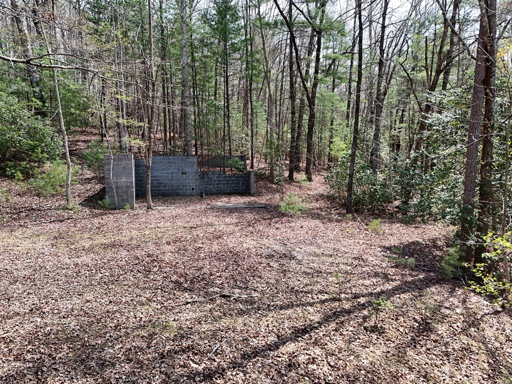 Lot 117 Laurel Trace