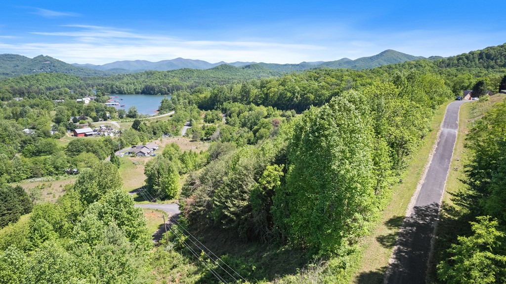 Lot 40 Overlook Trail