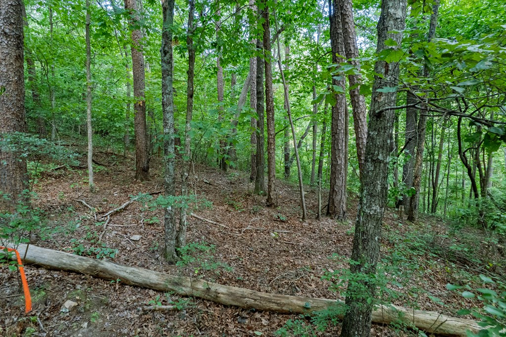 Lot 6 Heatherwood Way