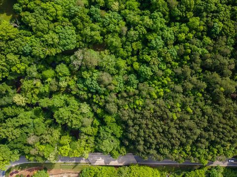 4.5 AC Hickory Flat Rd. Woodstock GA 30188