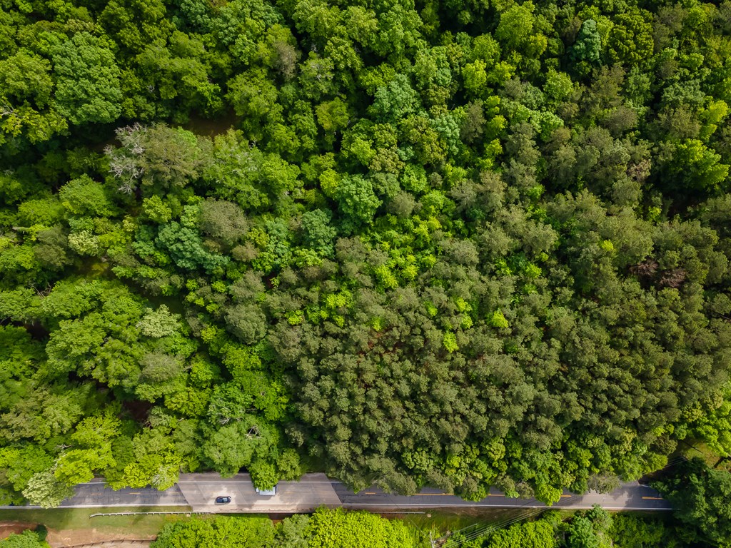 4.5 AC Hickory Flat Rd.