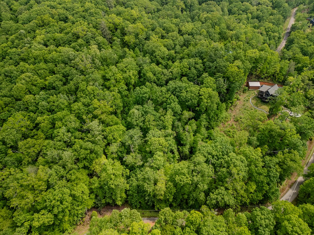 1.8 Acre Mangums Trail