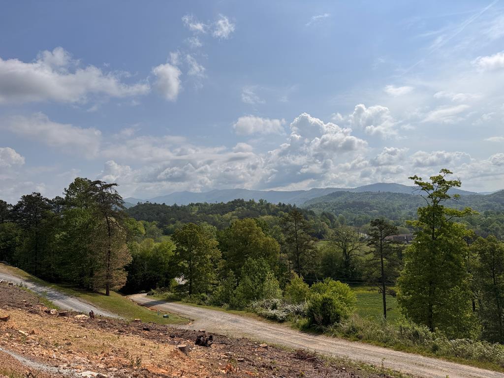 106 Mistletoe Ridge