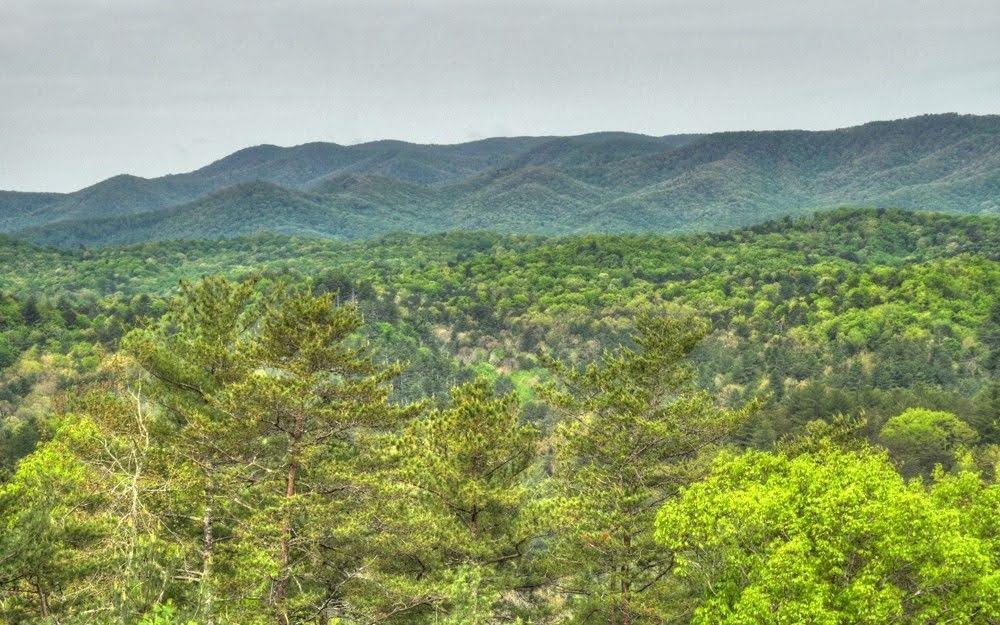 902 Laurel Creek Trail