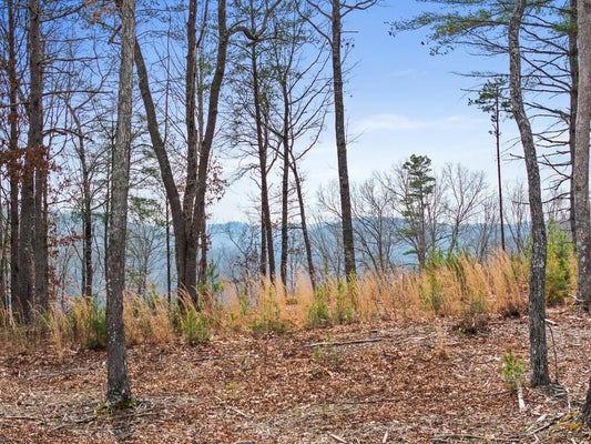 162 RIDGE ST, BLUE RIDGE, GA 30513 - Image 5dfae240ee55e2dfb949f2201cb04943/3789236959