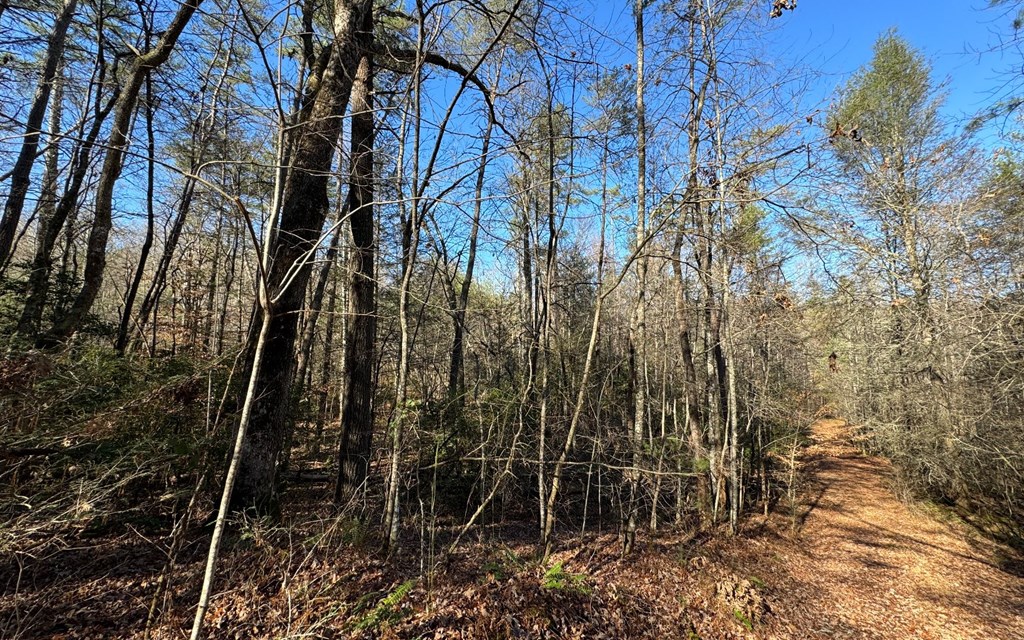 0 Mill Creek Acres
