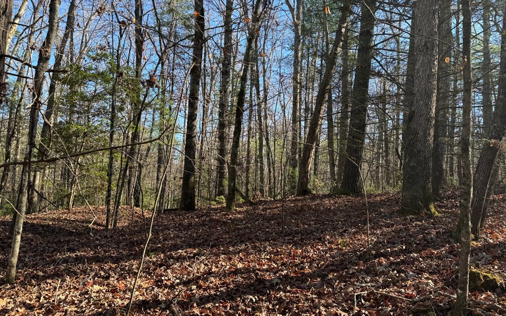 0 Mill Creek Acres