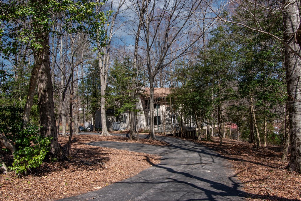 43 Hitchcock Street