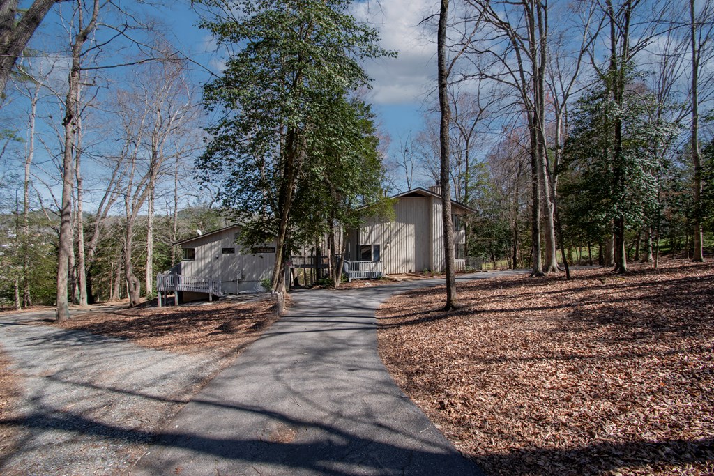 43 Hitchcock Street