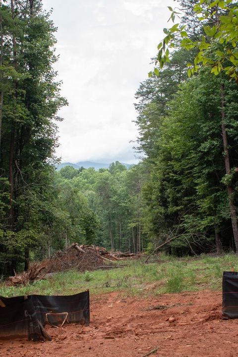 Lot 1 Clay's Way Blue Ridge GA 30513