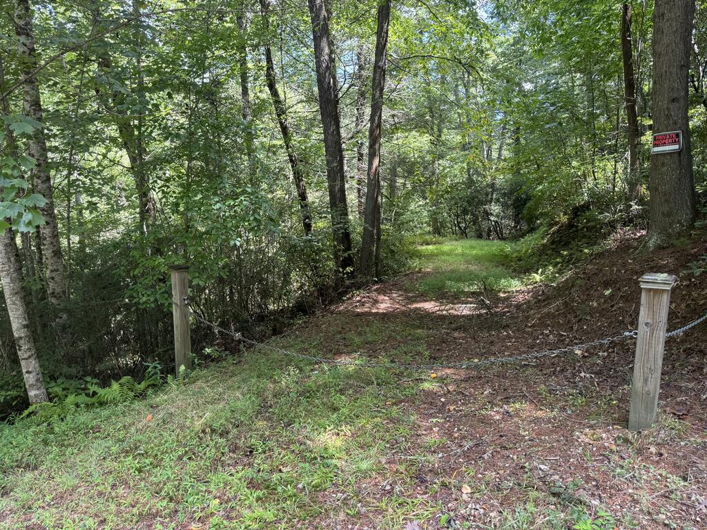 Lot 45 Gobbler Knob