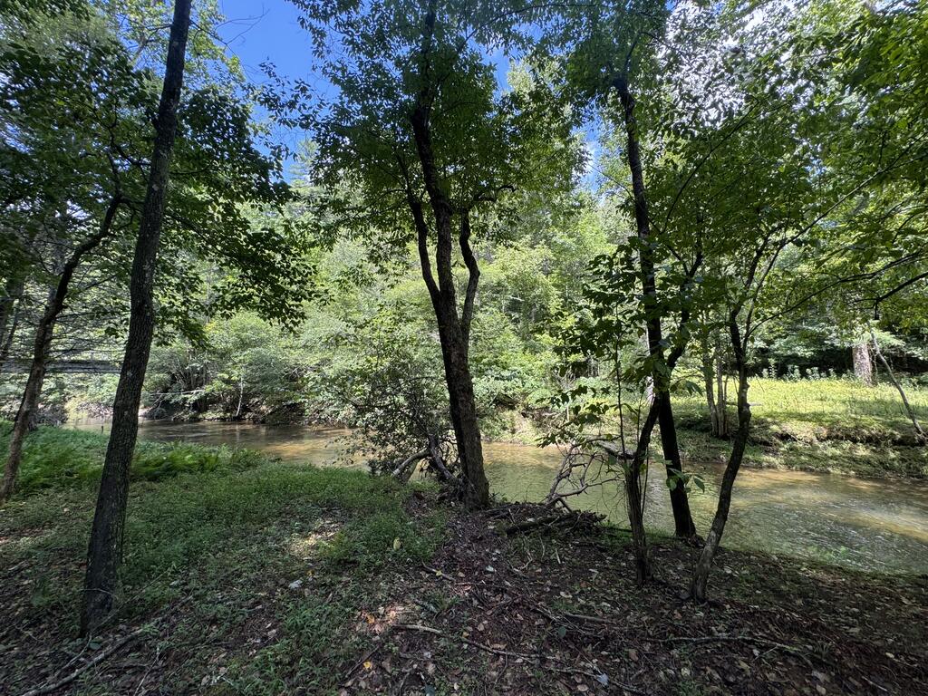 Lot 45 Gobbler Knob