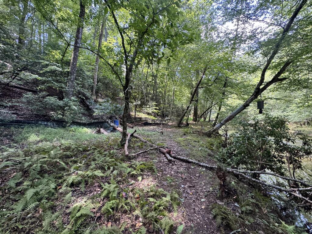 Lot 45 Gobbler Knob