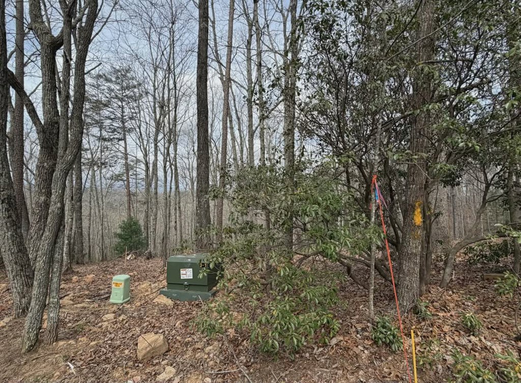 Tract B2 Mountain Ridge