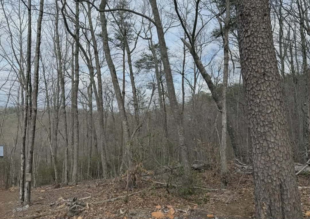 Tract B2 Mountain Ridge