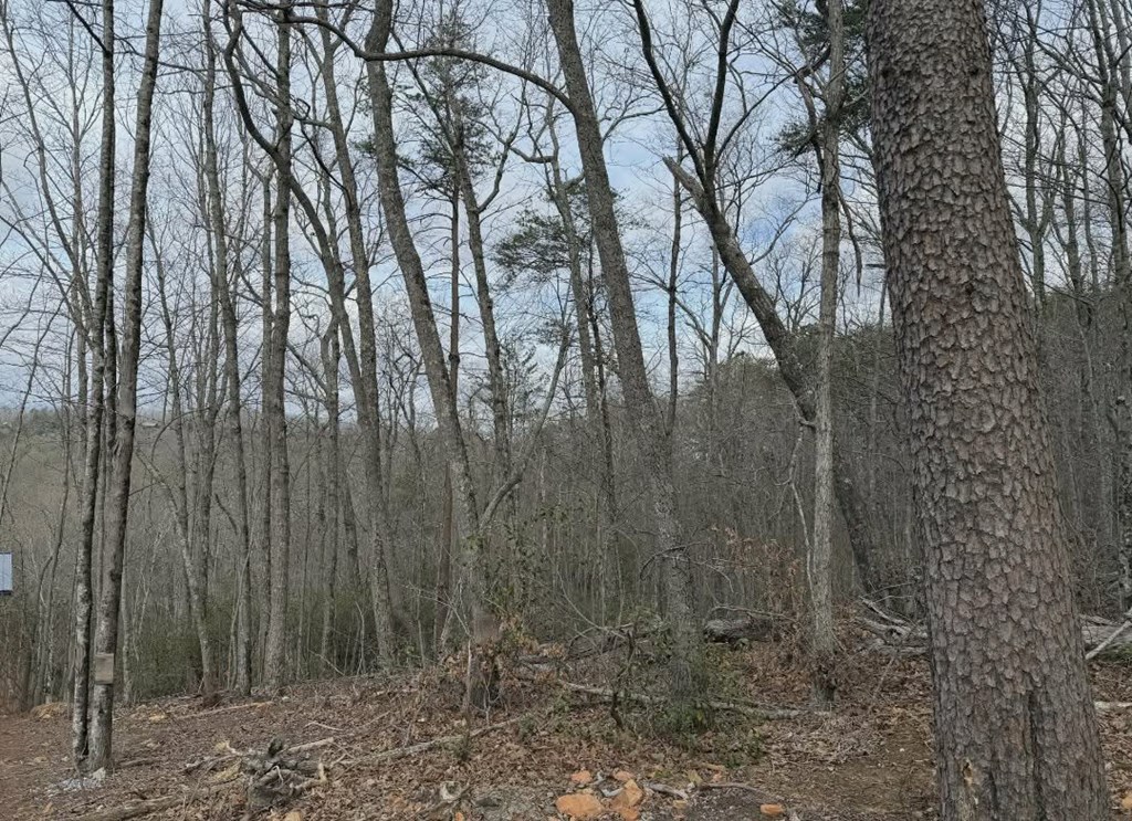 Tract B2 Mountain Ridge