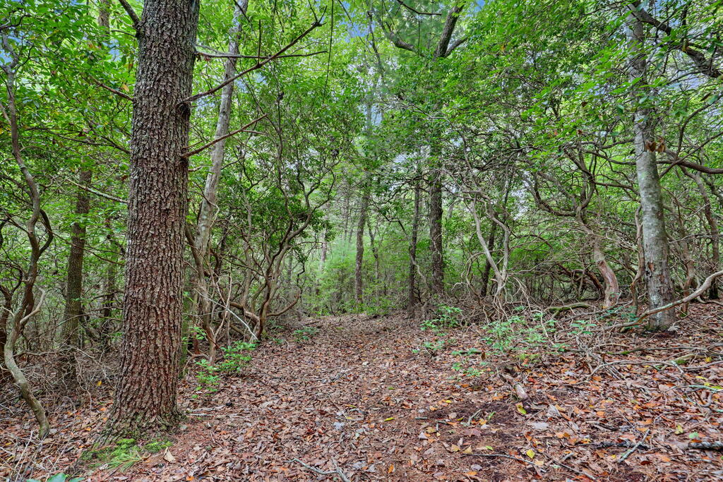 12.8 ac Fisher Field Road