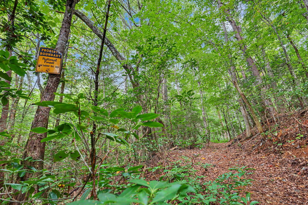 12.8 ac Fisher Field Road