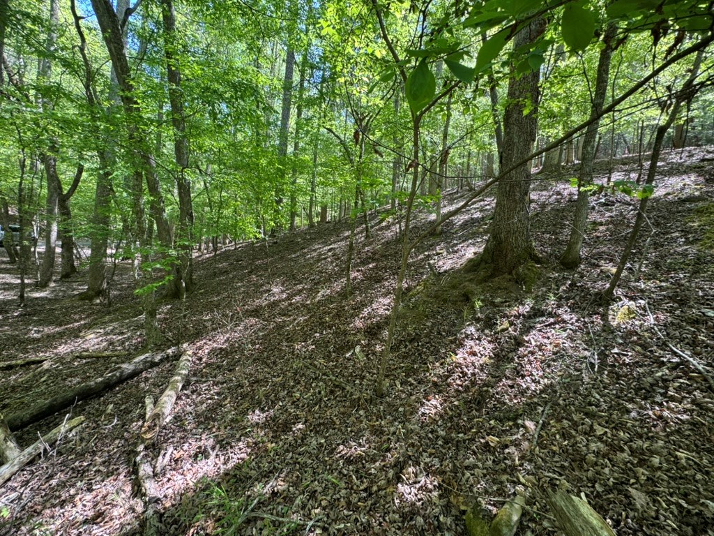 Lot 1972 Nancy Court