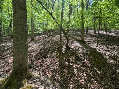 Lot 1972 Nancy Court