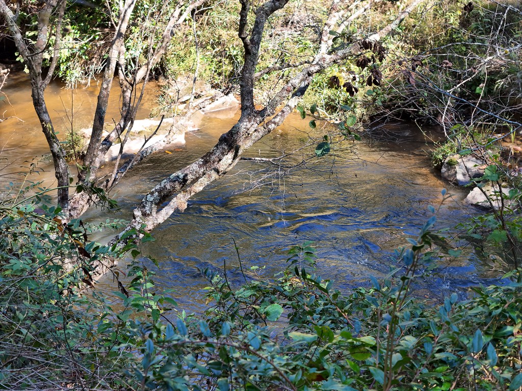 Lt 27/28 Donna Lee Lane