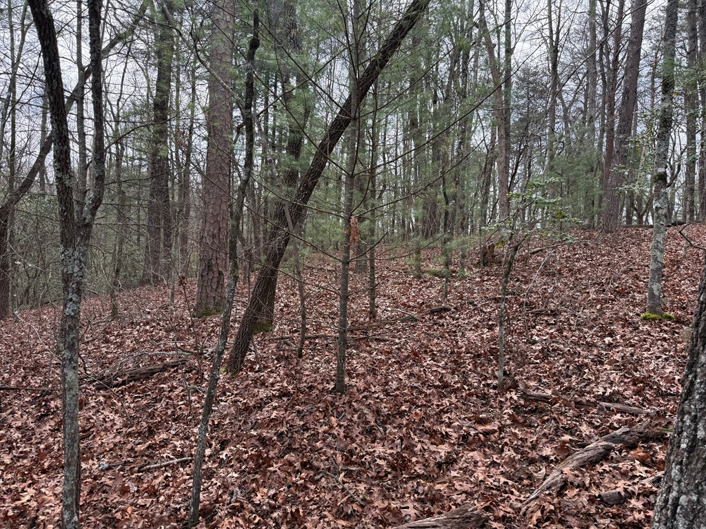 Lot 13 Frances Drive