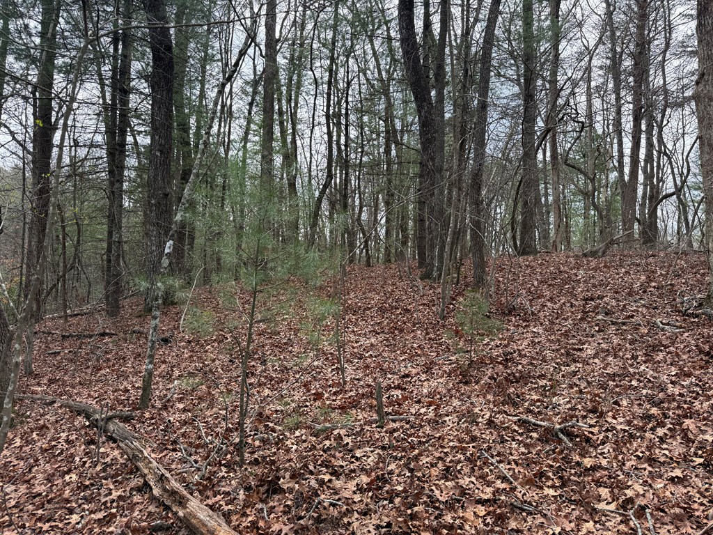 Lot 13 Frances Drive