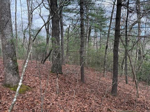 Lot 13 Frances Drive Ellijay GA 30536