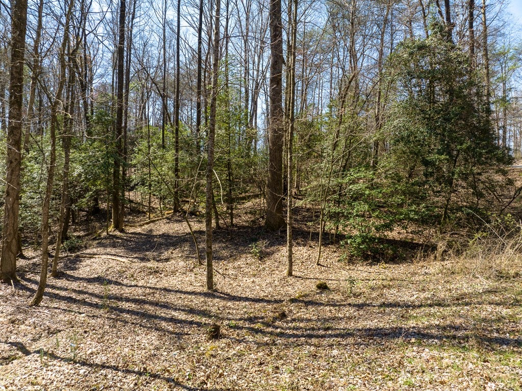 Lot 193 Shenendoa Drive