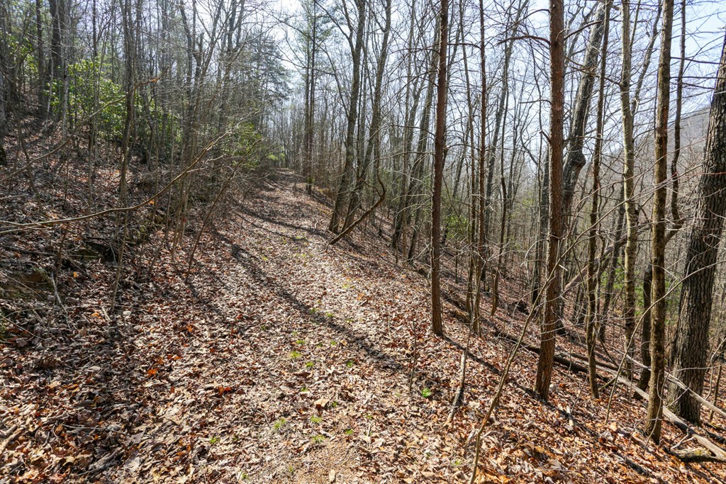 100 ac Mica Mine Road