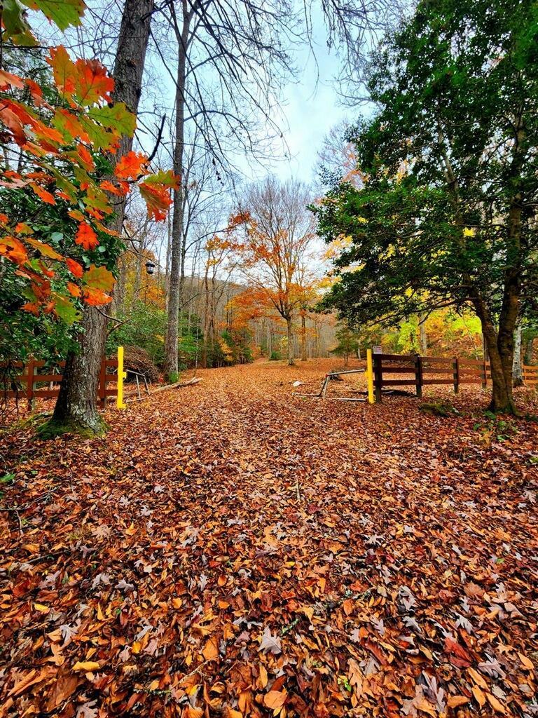 457 Young Blood Drive