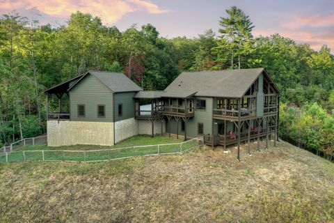 A home in Mineral Bluff