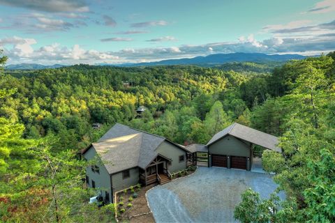 A home in Mineral Bluff