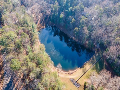 A home in Ellijay