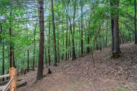 A home in Ellijay