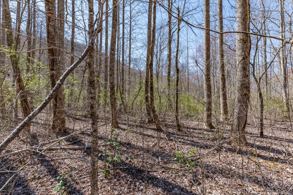 Lots 12+ Tusquittee Crossing